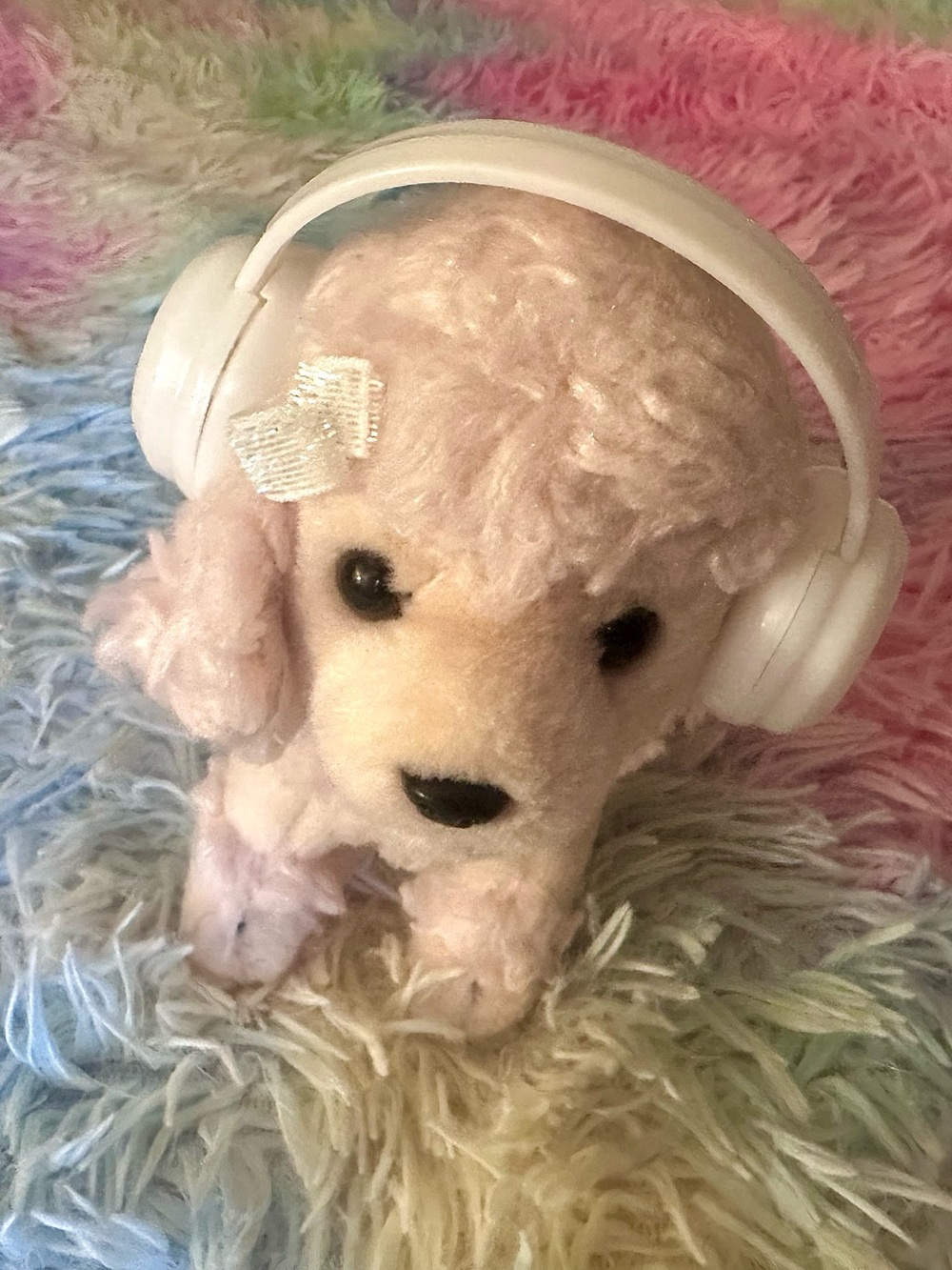 noodle the poodle & her headphones <3